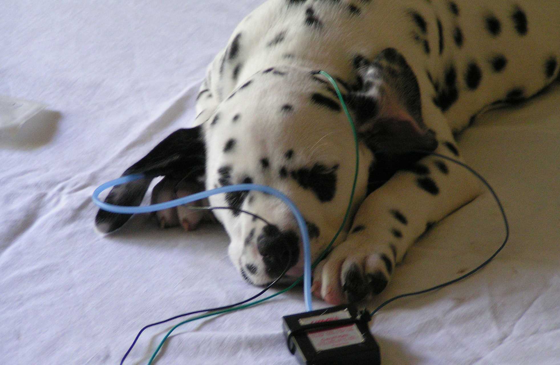 05_07_08_AEP7.jpg (139925 Byte)