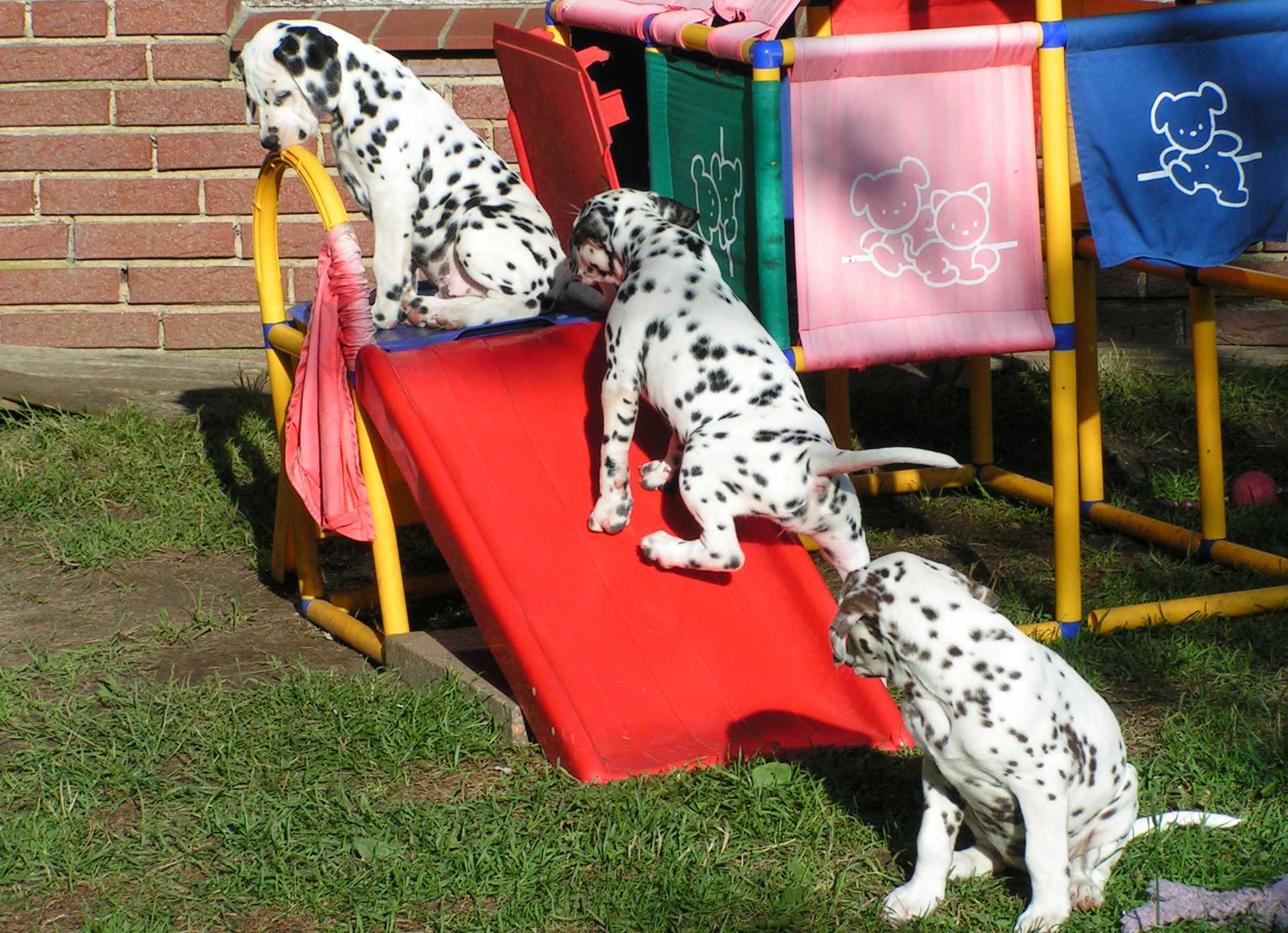 12_07_08_Rutsche5.jpg (301366 Byte)