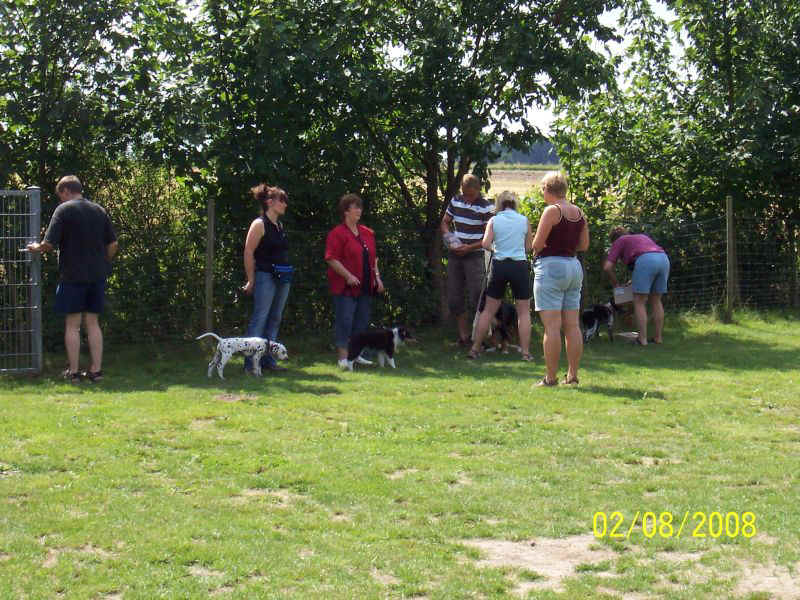 Hundeschule01.JPG (154676 Byte)