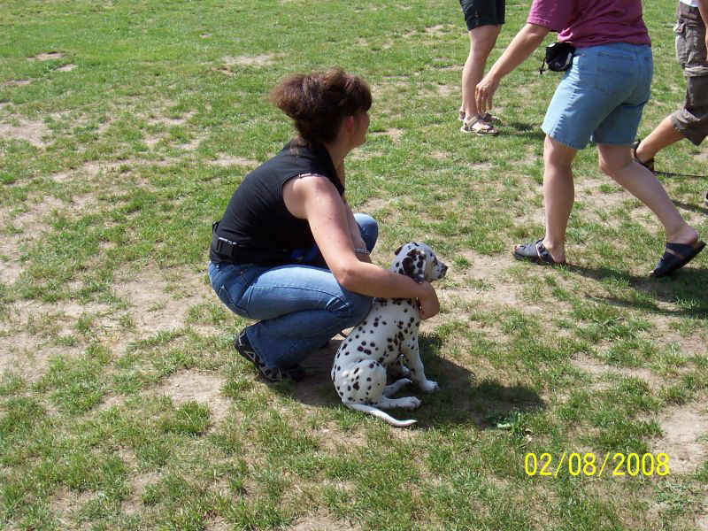 Hundeschule02.JPG (164236 Byte)