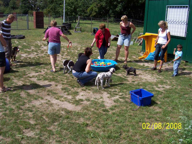 Hundeschule04.JPG (155262 Byte)