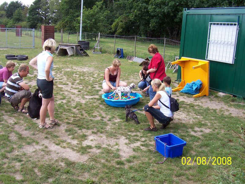 Hundeschule05.JPG (143824 Byte)