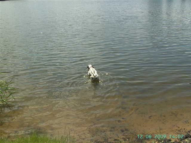 Duke_JUN_Wasser1.jpg (72170 Byte)