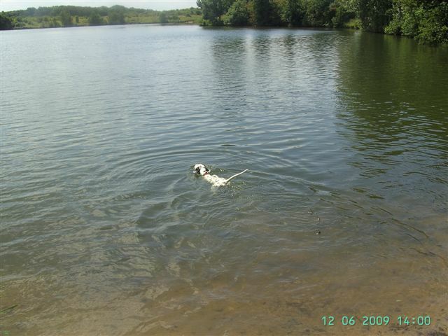 Duke_JUN_Wasser2.jpg (70697 Byte)