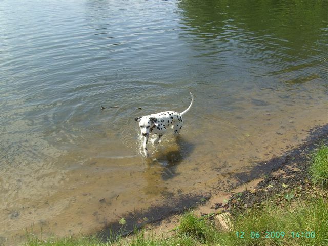 Duke_JUN_Wasser3.jpg (84324 Byte)