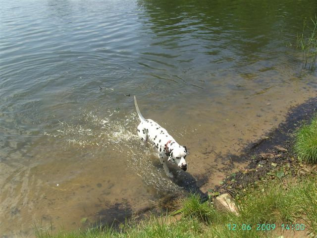 Duke_JUN_Wasser4.jpg (83985 Byte)