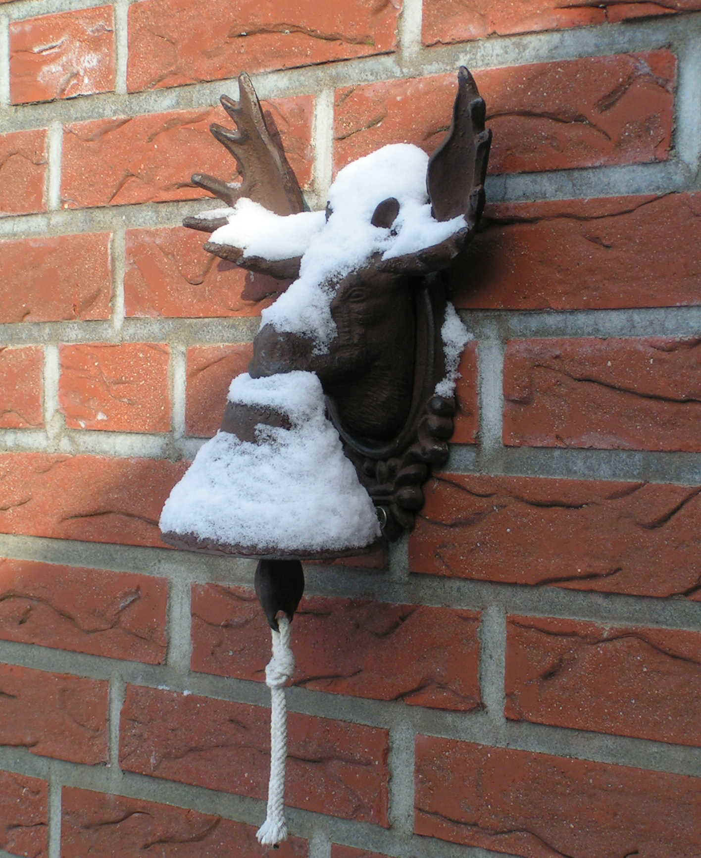 Januar2010_1.jpg (281274 Byte)