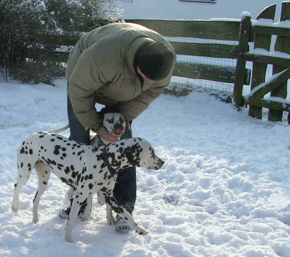 Januar2010_2.jpg (139637 Byte)