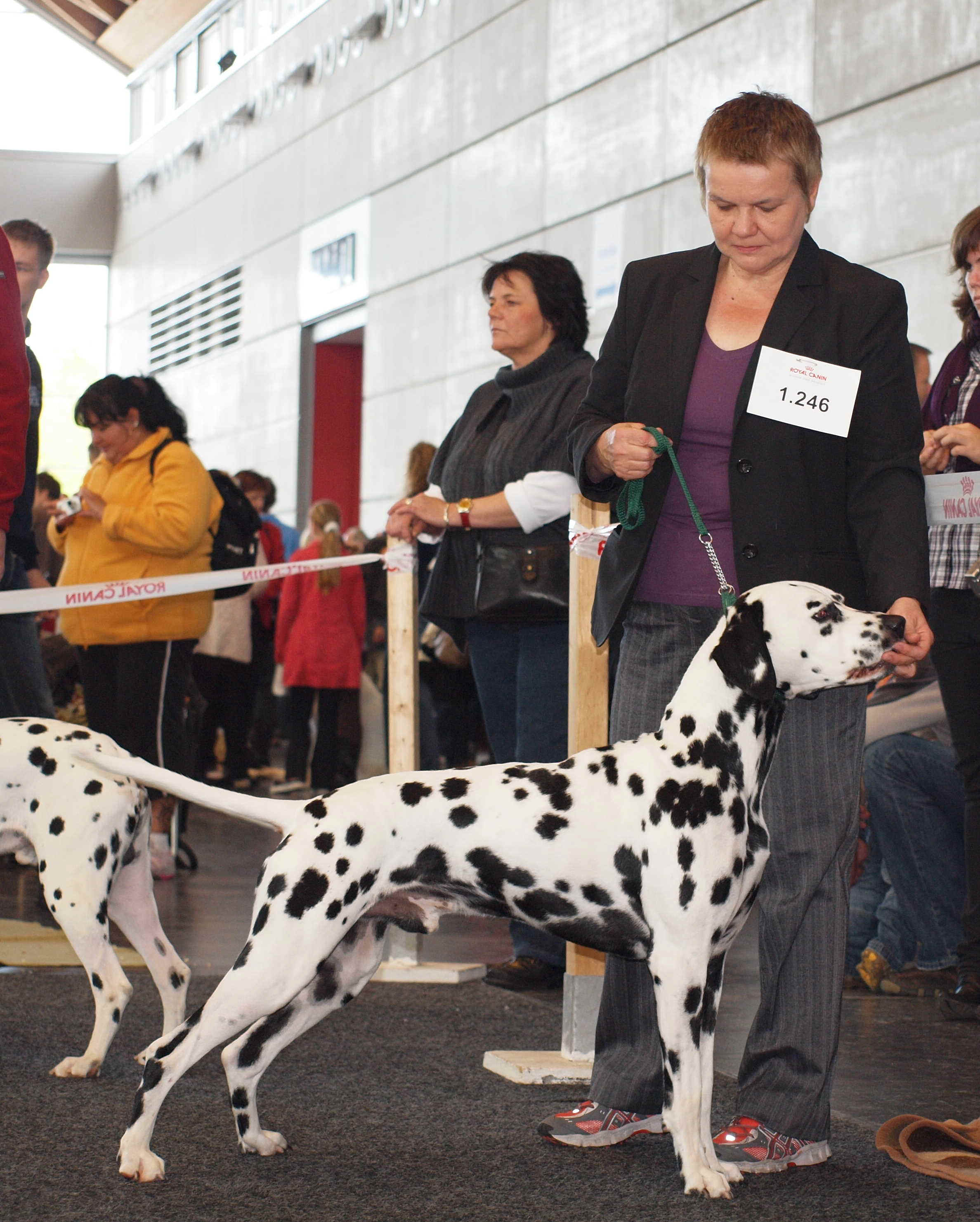Jerry_Rostock2009.jpg (488298 Byte)