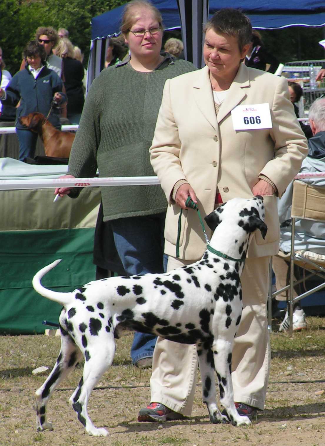 Neumuenster2009_Jerry3.jpg (151745 Byte)