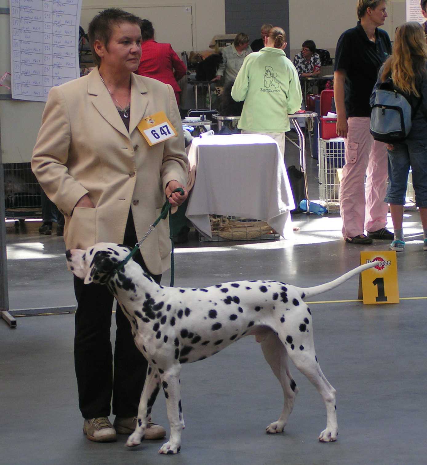 OLDB_Duke4.jpg (135405 Byte)