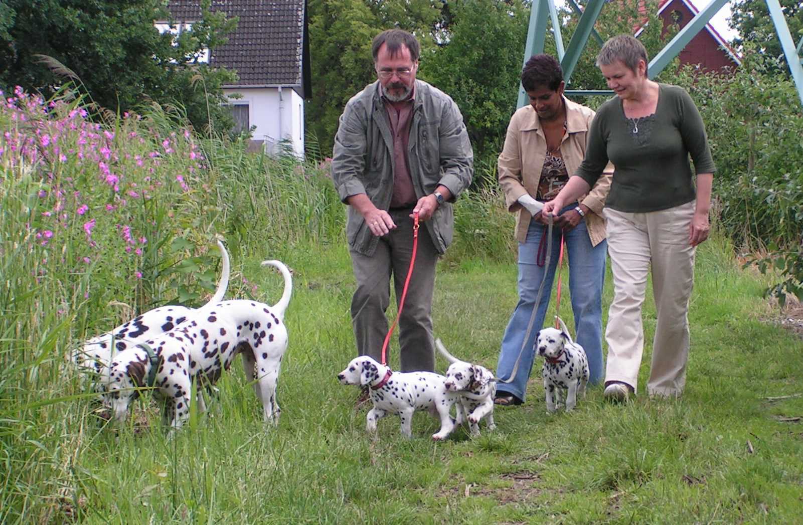 Spaziergang_13_07_08.jpg (221697 Byte)