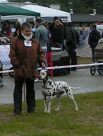 Tabita 28-05-06.jpg (148332 Byte)