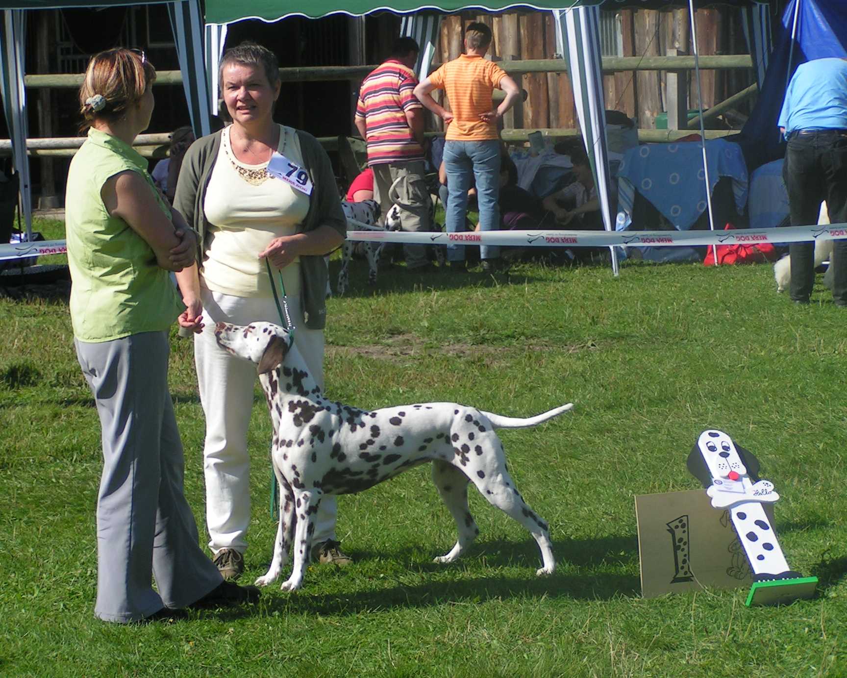 Tabita_besteHuendin_Adendorf2008.jpg (262129 Byte)