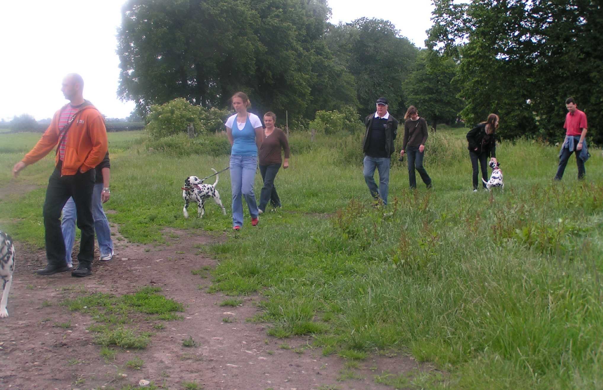 Treffen_Juni-14.jpg (243555 Byte)