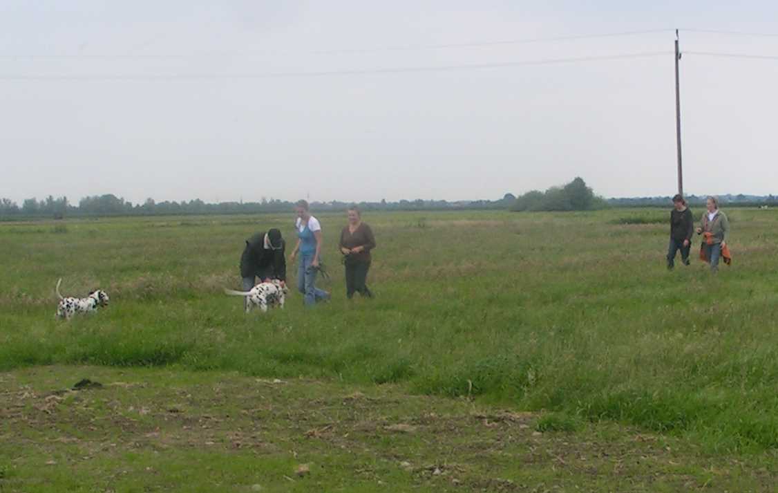 Treffen_Juni-15.jpg (42232 Byte)