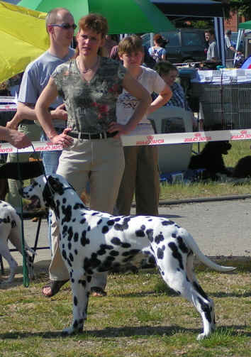 Challenger von Rebecko