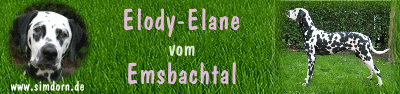 elody-elane-banner.gif (33626 Byte)