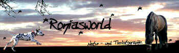 roniasworld3.jpg (23721 Byte)